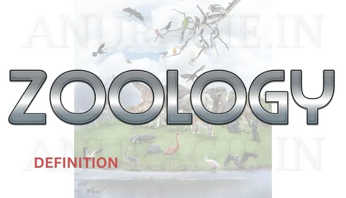 zoology